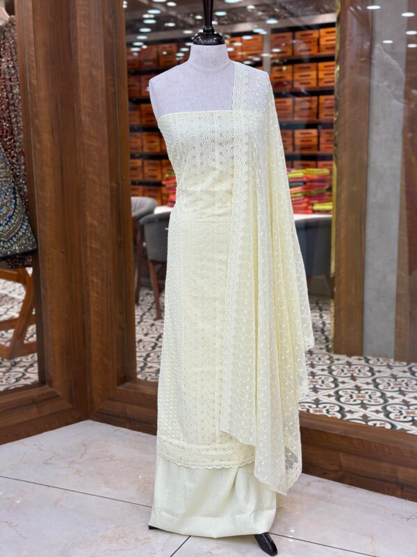 Georgette Chikankari kurthi M039 - Image 5