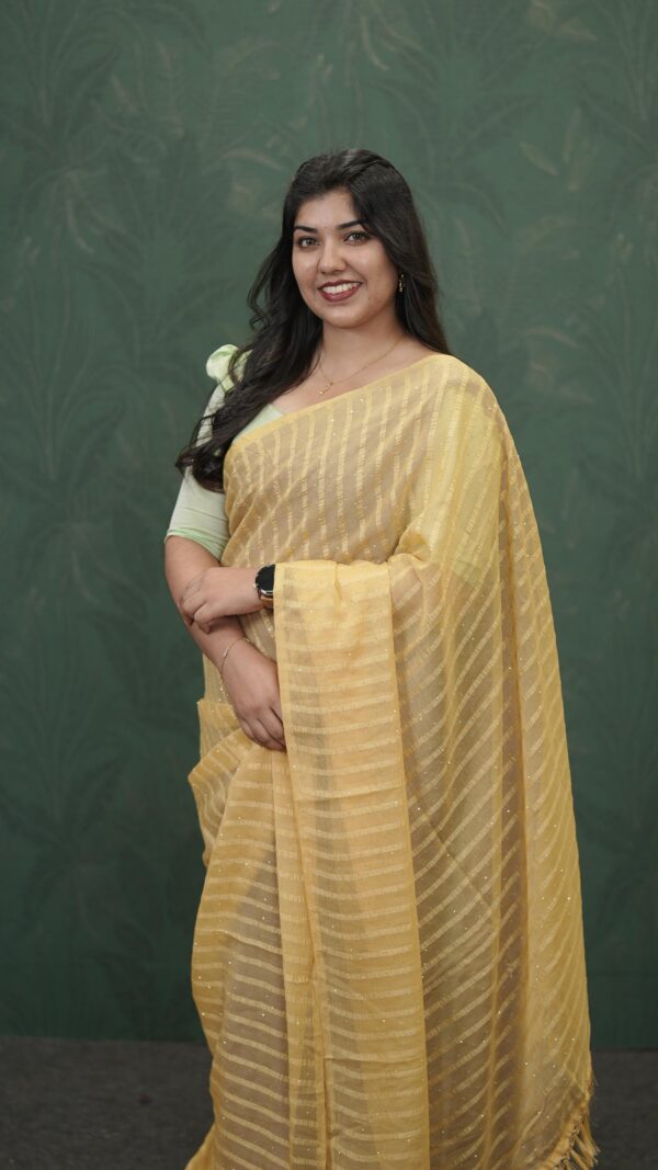 FANCY SAREE M151 - Image 10