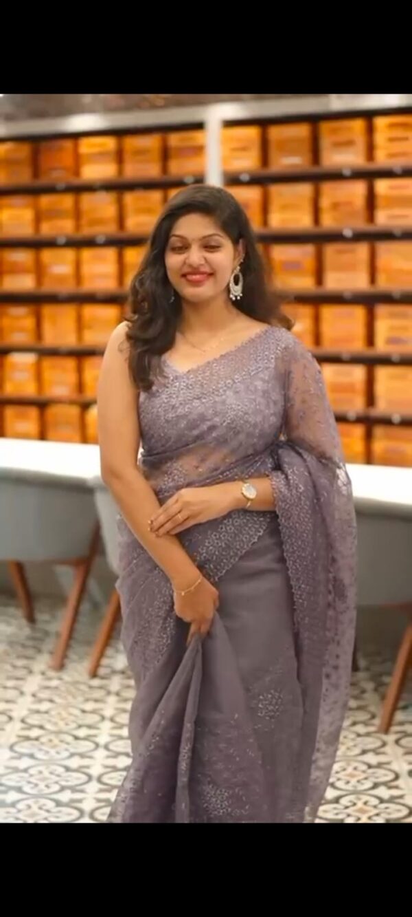 ORGANZA FANCY SAREE M169 - Image 11