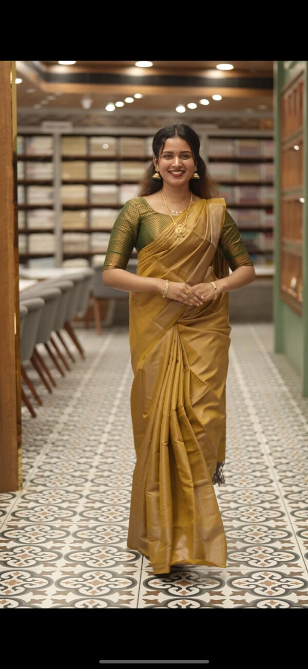 SEMI BROCADE SAREE M178 - Image 5
