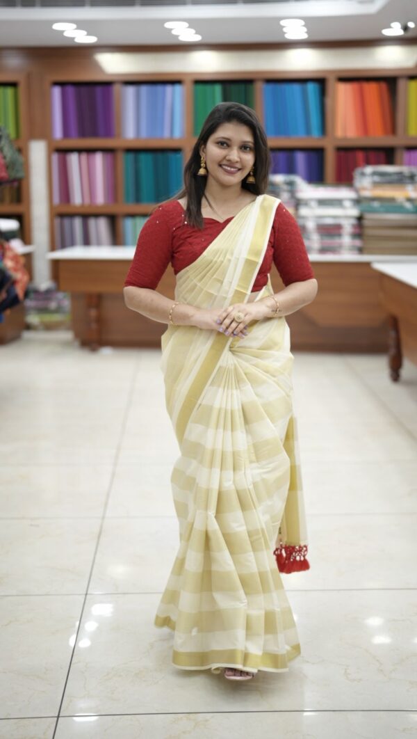SET SAREE M254 - Image 6