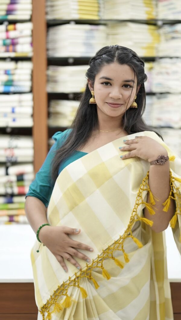 SET SAREE M254 - Image 8