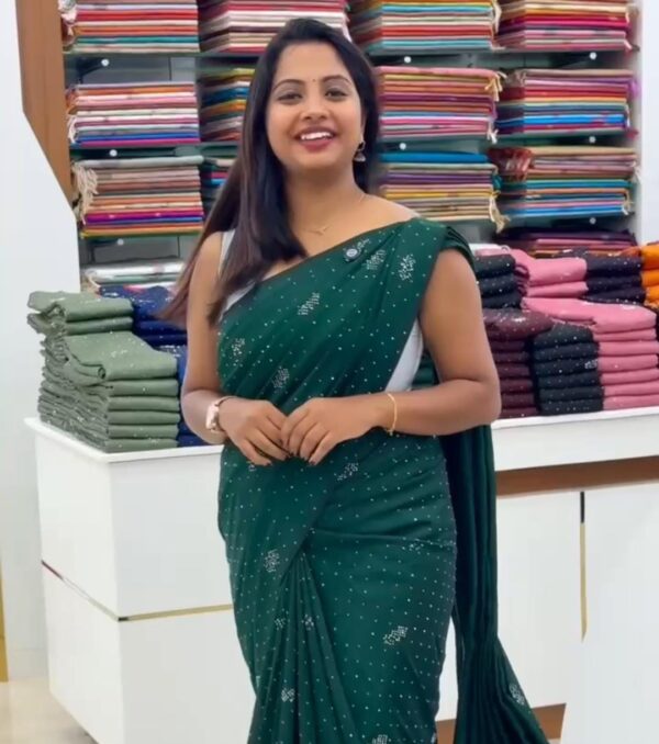 KASHMIRI SILK SAREE M280 - Image 2