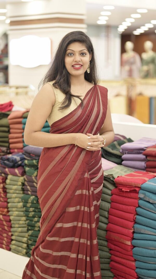 KASHMIRI ZARI  SAREE M284 - Image 2