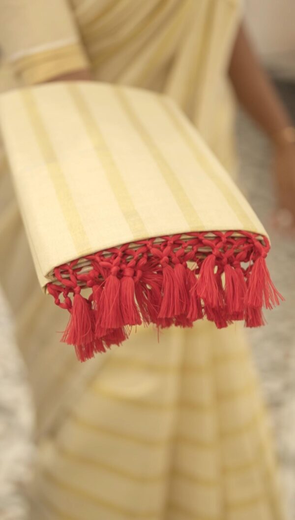 SET SAREE M291 - Image 4