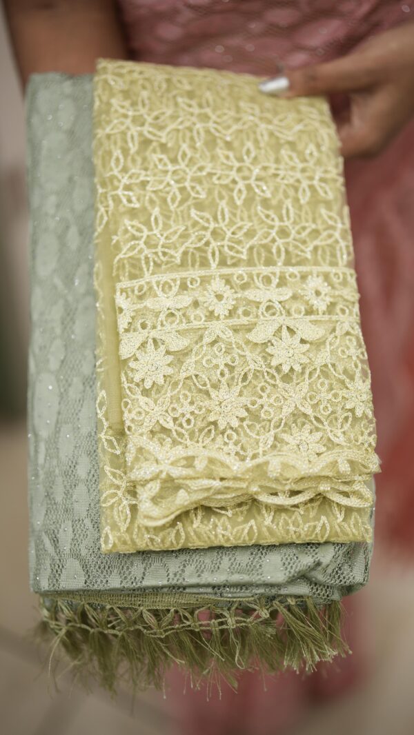 SOFT NET SAREE M533 - Image 5