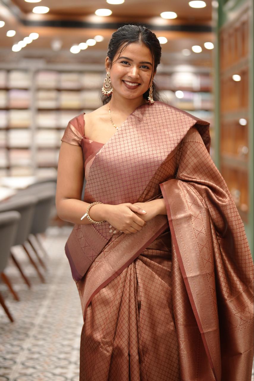 BROCADE SAREE M1397 - Image 4