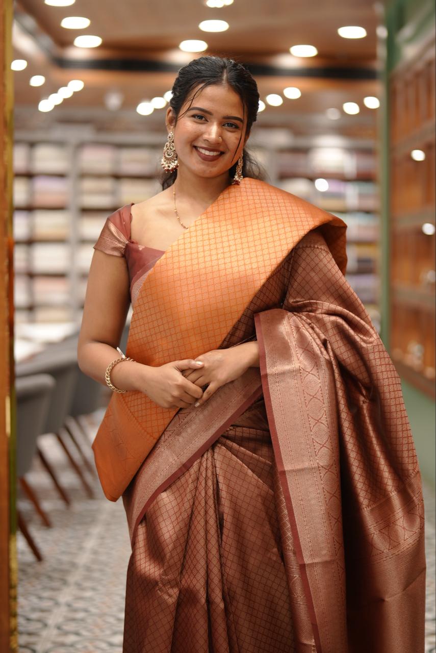 BROCADE SAREE M1397 - Image 3