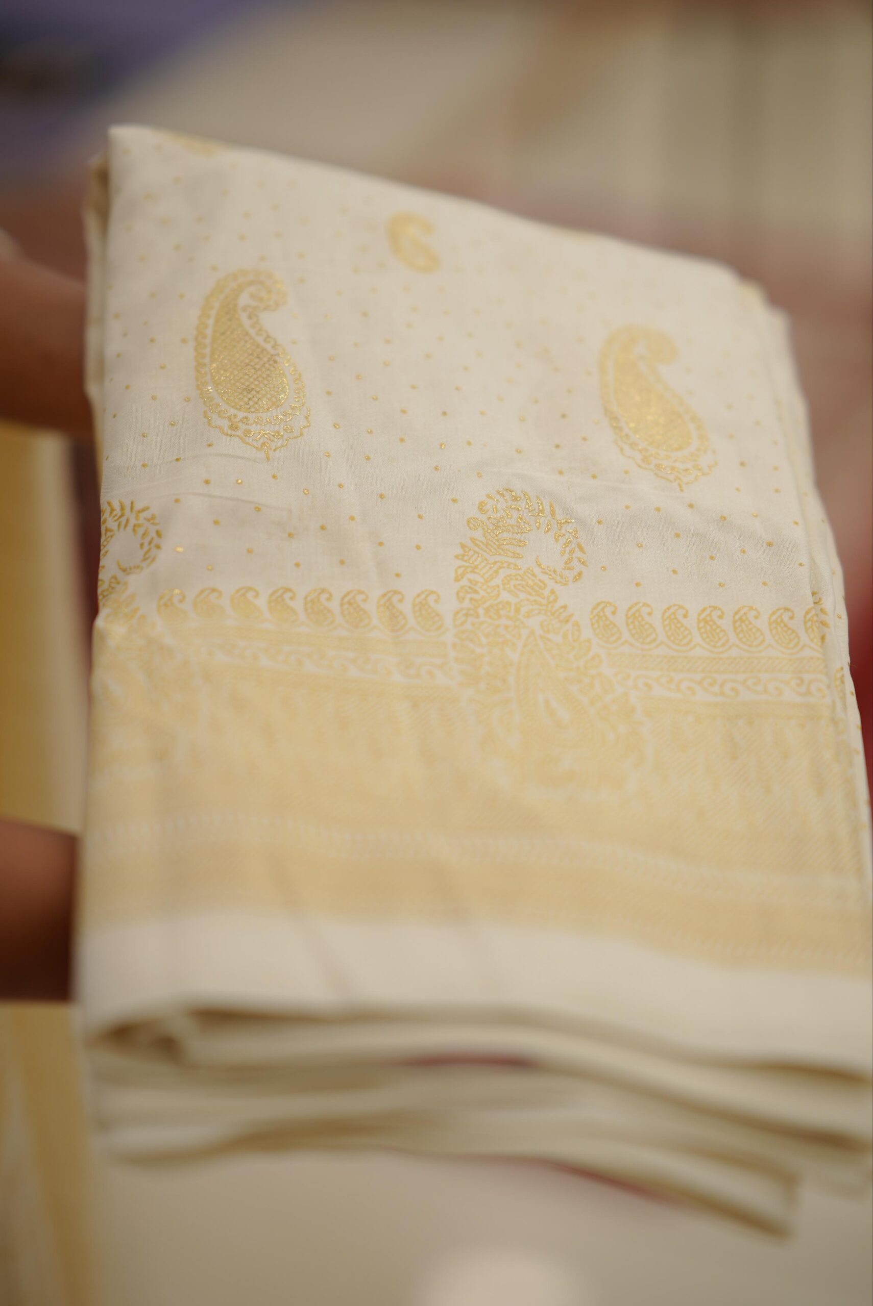 Badri Silk Saree M1573 - Image 3