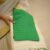 Parrot Green