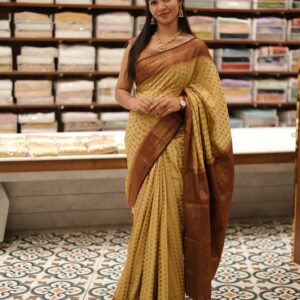 Banarasi Saree M1613