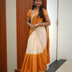 Banarasi Fabric M1649