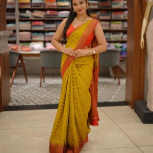 Traditional Saree M1662