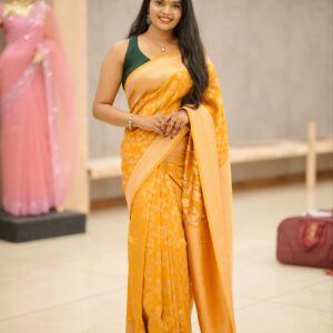 Banarasi Saree M1698