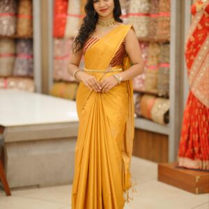 Affordable Tissue Saree m1716