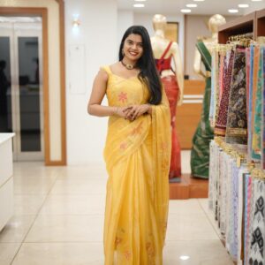 Fancy Saree M1804